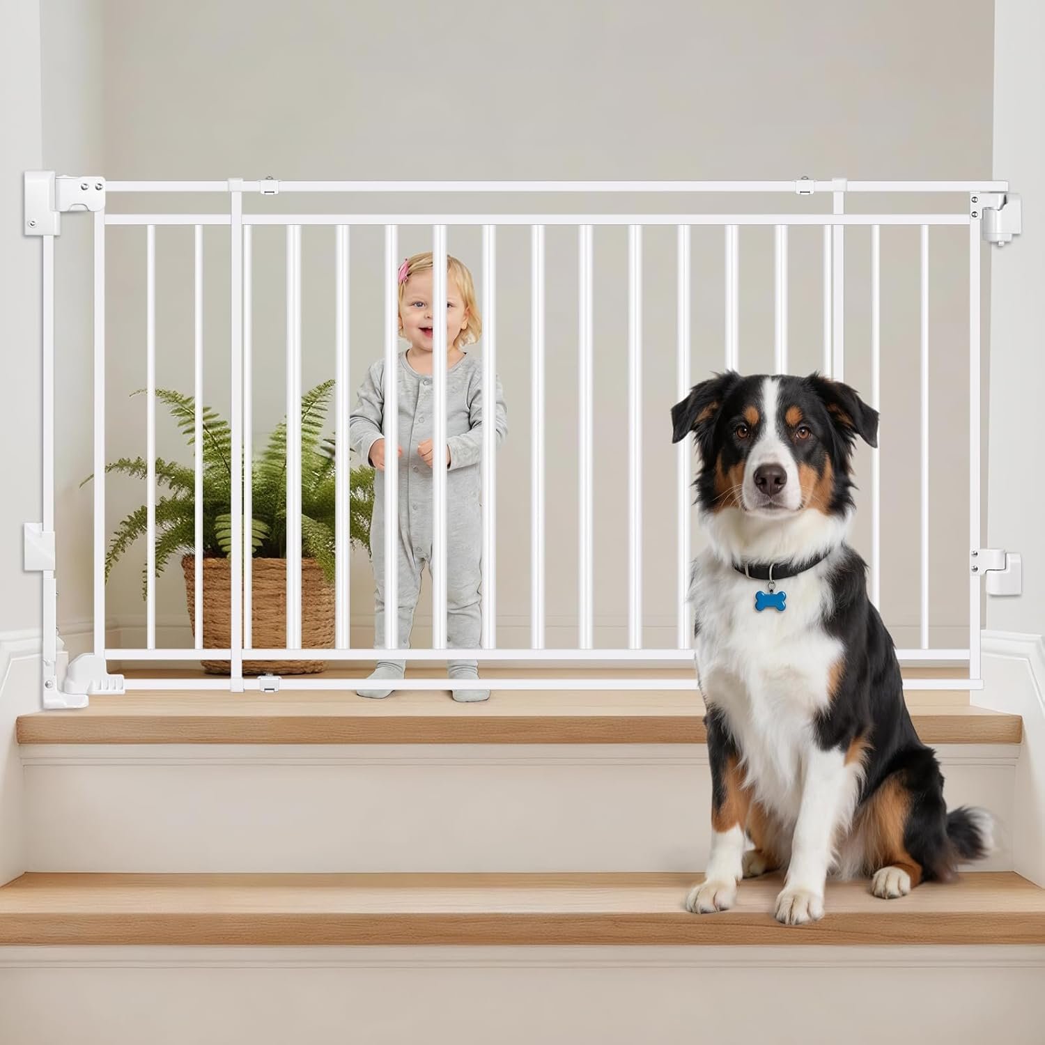 Betertek Baby Gate for Doorways&Top/Bottom of Stairs-No Bottom Bar&Extra Wide Walk Thru Door, 31-54″ W Chew&Impact Resistant Metal Heavy Duty Dog Gate, Hardware Mount Safety Indoor Pet Gate for Stair
